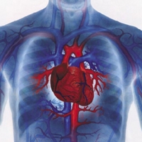 Сердечно-сосудистые заболевания и факторы риска