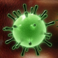 Борьбы с коронавирусом Ближневосточного респираторного синдрома в Саудовской Аравии