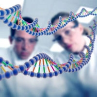 Проведены первые эксперименты по изменению генетического кода человека