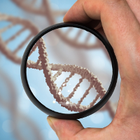 Особенности ДНК теста для суда